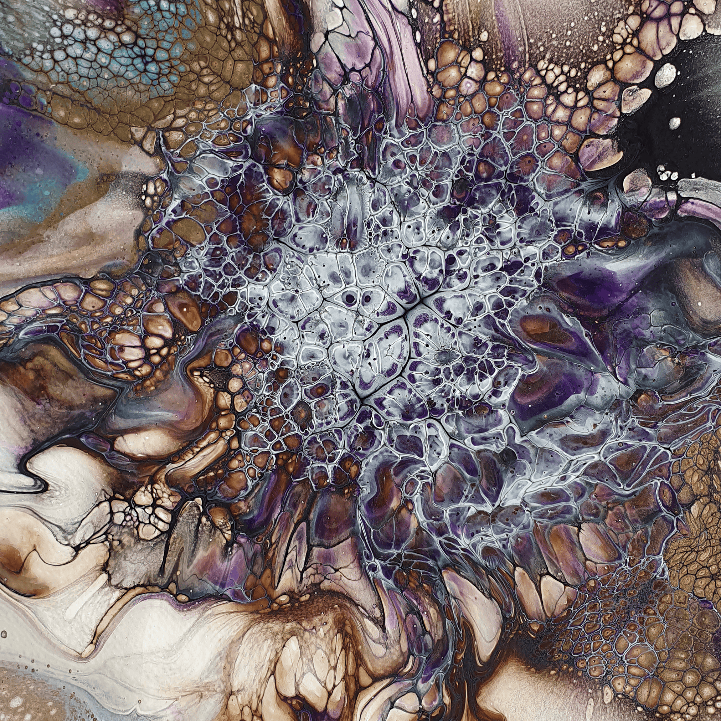 Velvet Bloom
